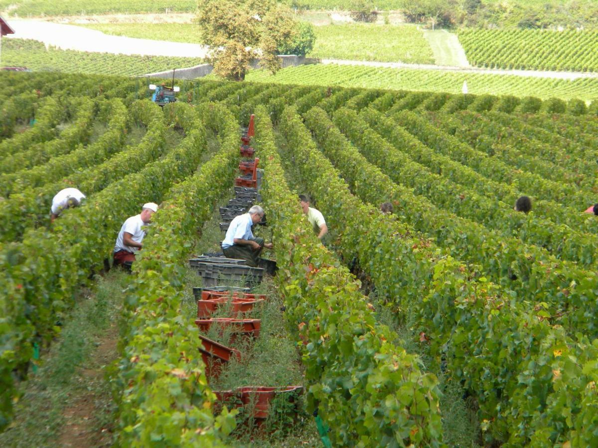 Le jardin des chanceliers Beaune  Extérieur photo